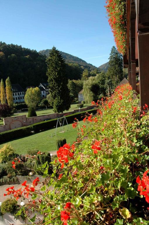 Hotel Restaurant Des Vosges Klingenthal Exterior foto